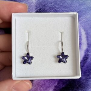 Malé fialové hvězdičky- JEDEN KÁMEN